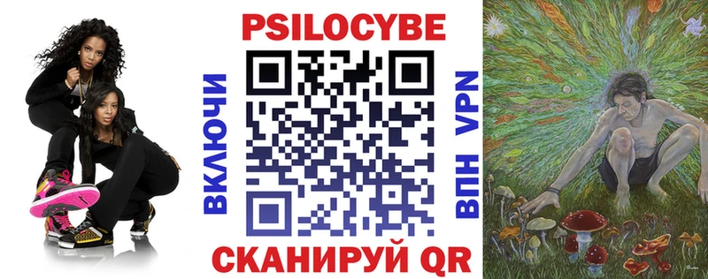 Галлюциногенные грибы Psilocybine cubensis  купить   Талица 